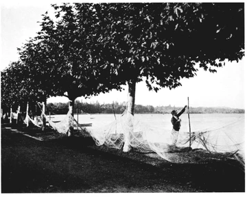 Saint-Prex, vers 1900