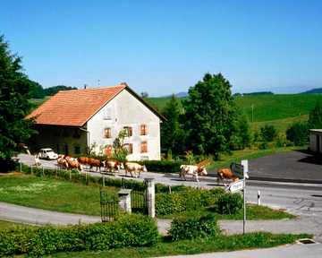 Armailli Grandchamp, La Verrerie